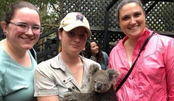 Travelers meeting a koala
